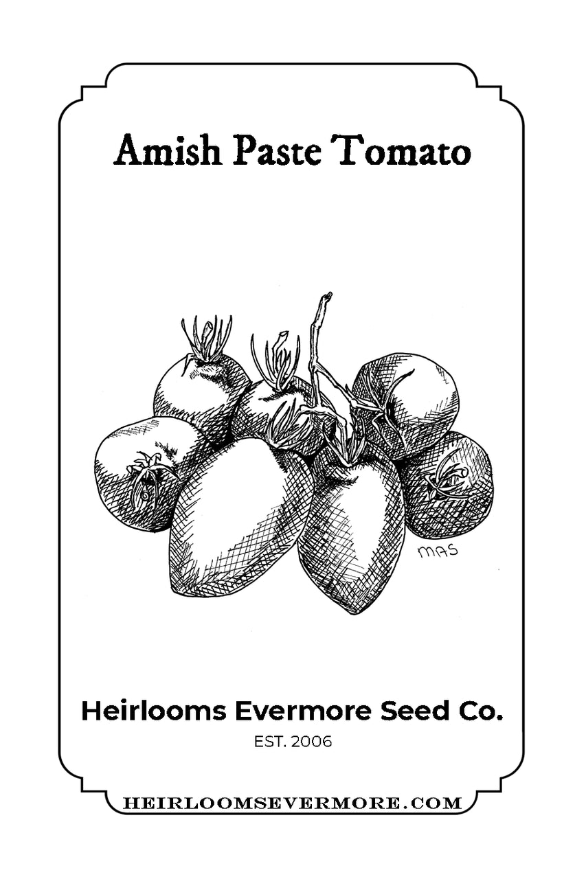 Amish Paste Tomato Seeds