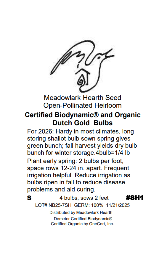 Shallot Bulbs, Dutch Gold, Organic
