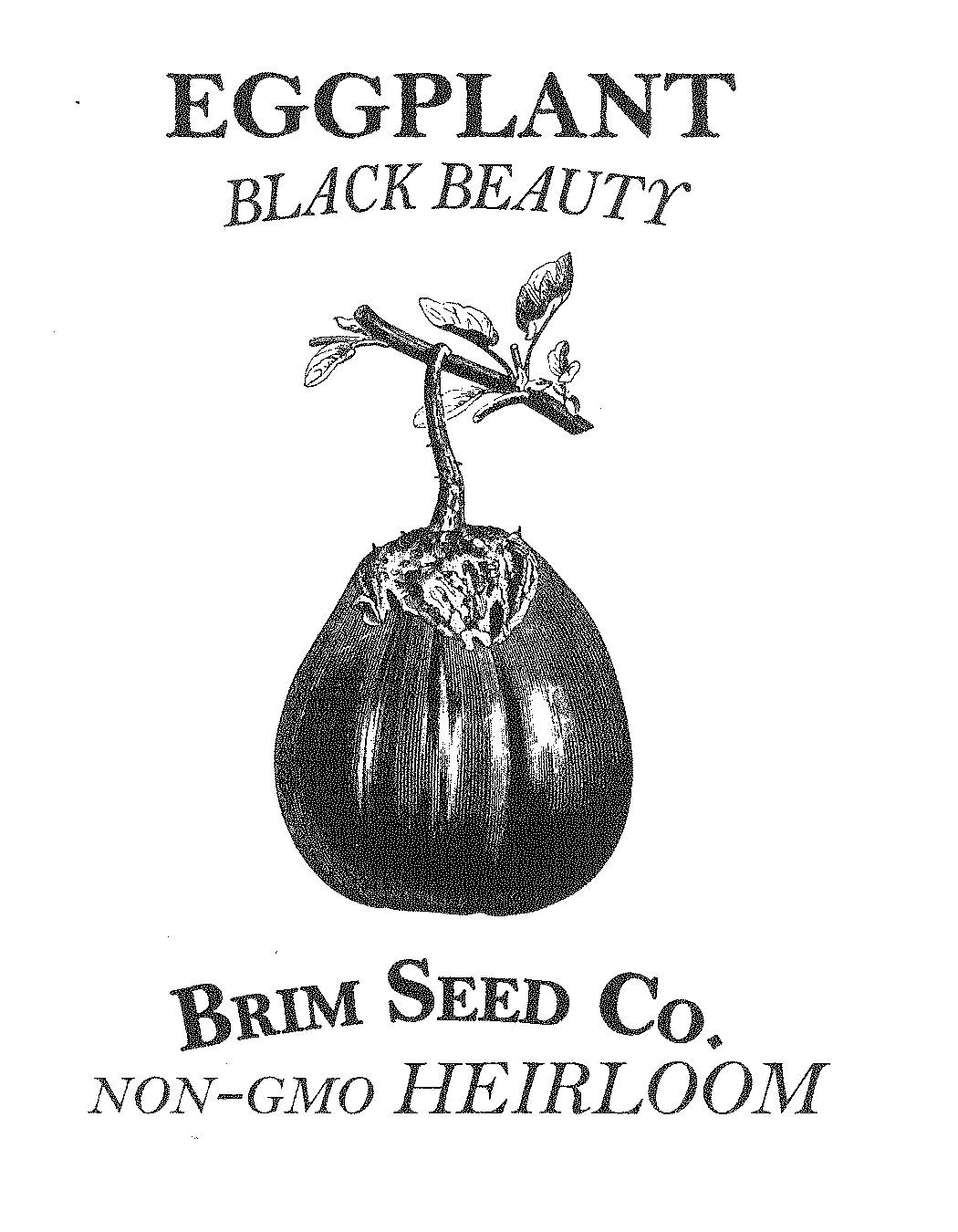 Eggplant, Black Beauty, Heirloom Seed