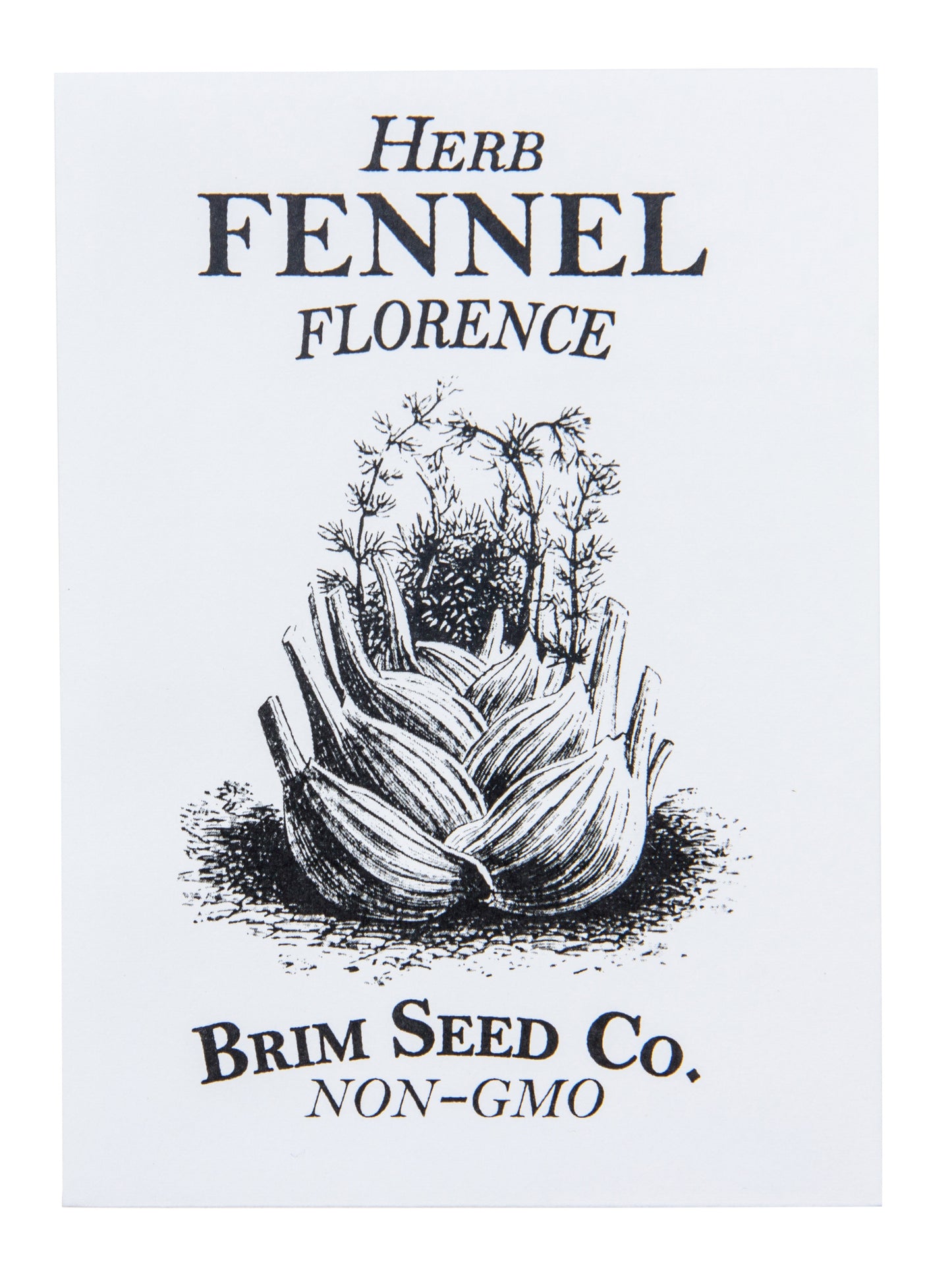 Herb, Florence Fennel Seed
