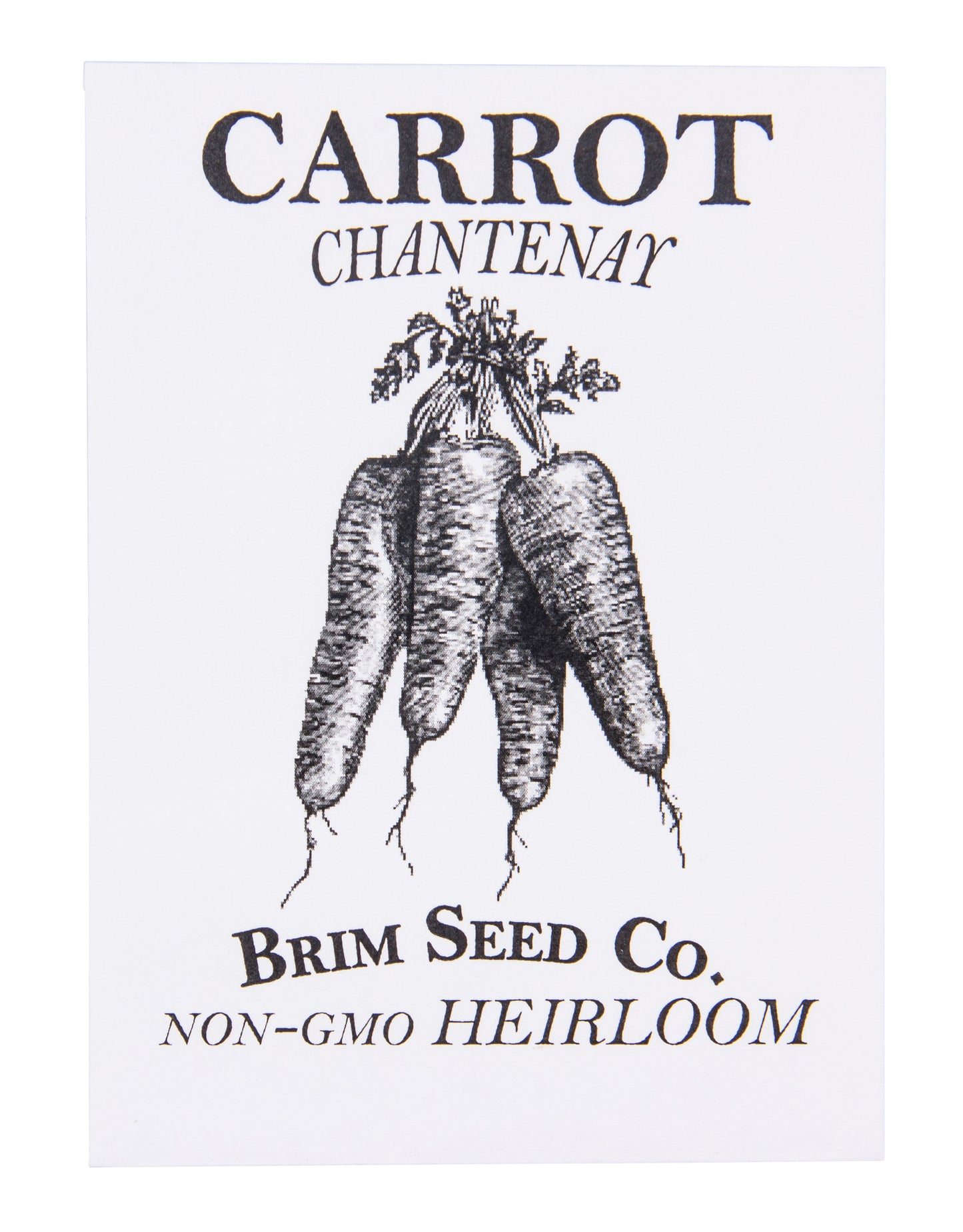 Carrot, Chantenay Heirloom Seed