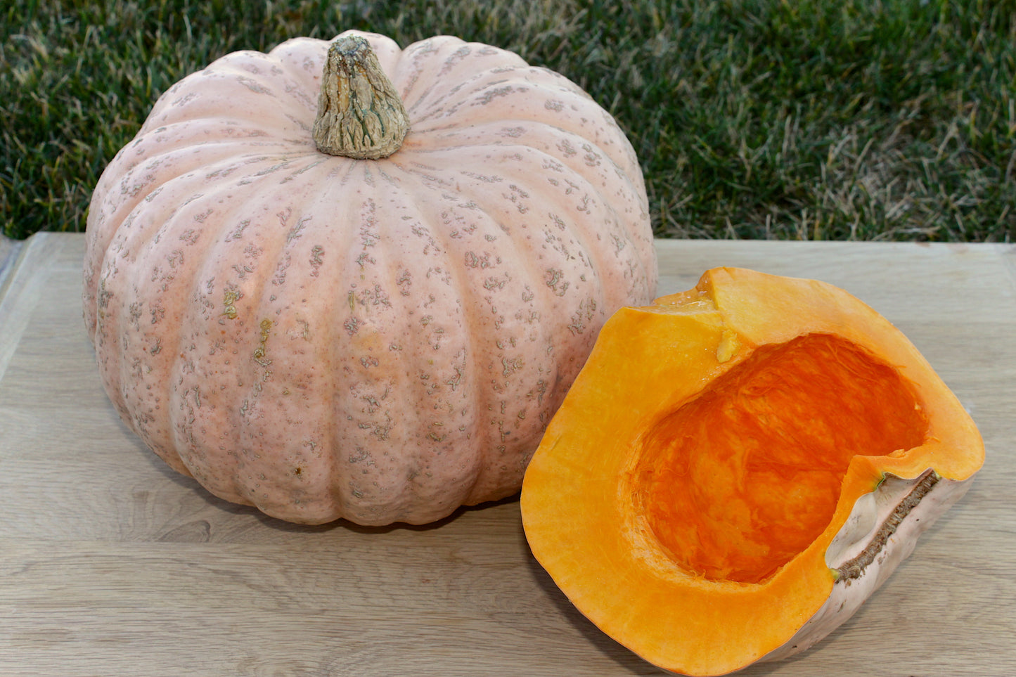 Australian Butter Squash Seed, Organic