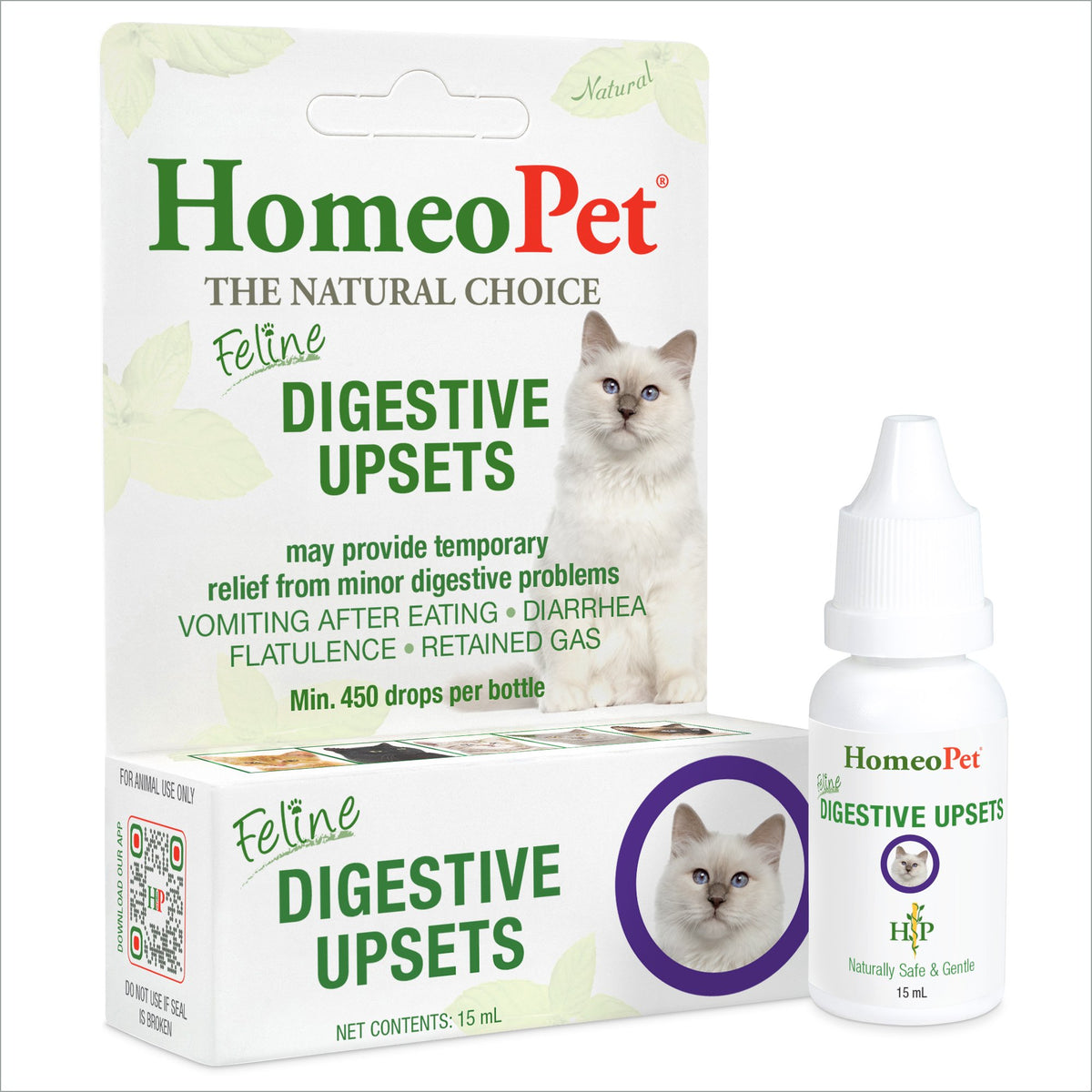 Digestive Upset, Feline