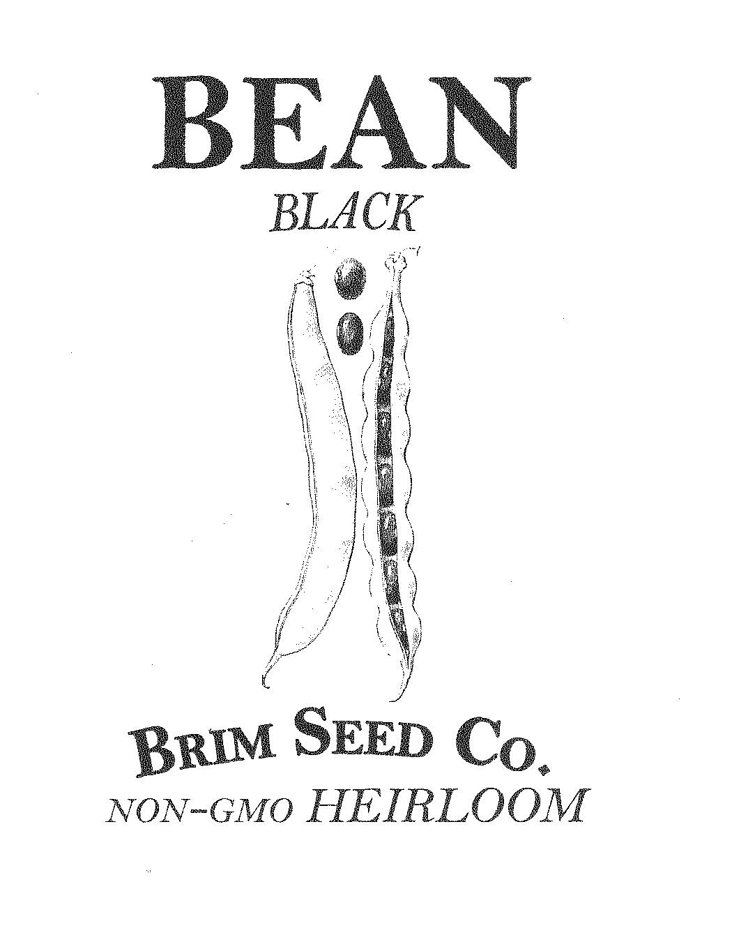 Bean, Black, Heirloom Seed