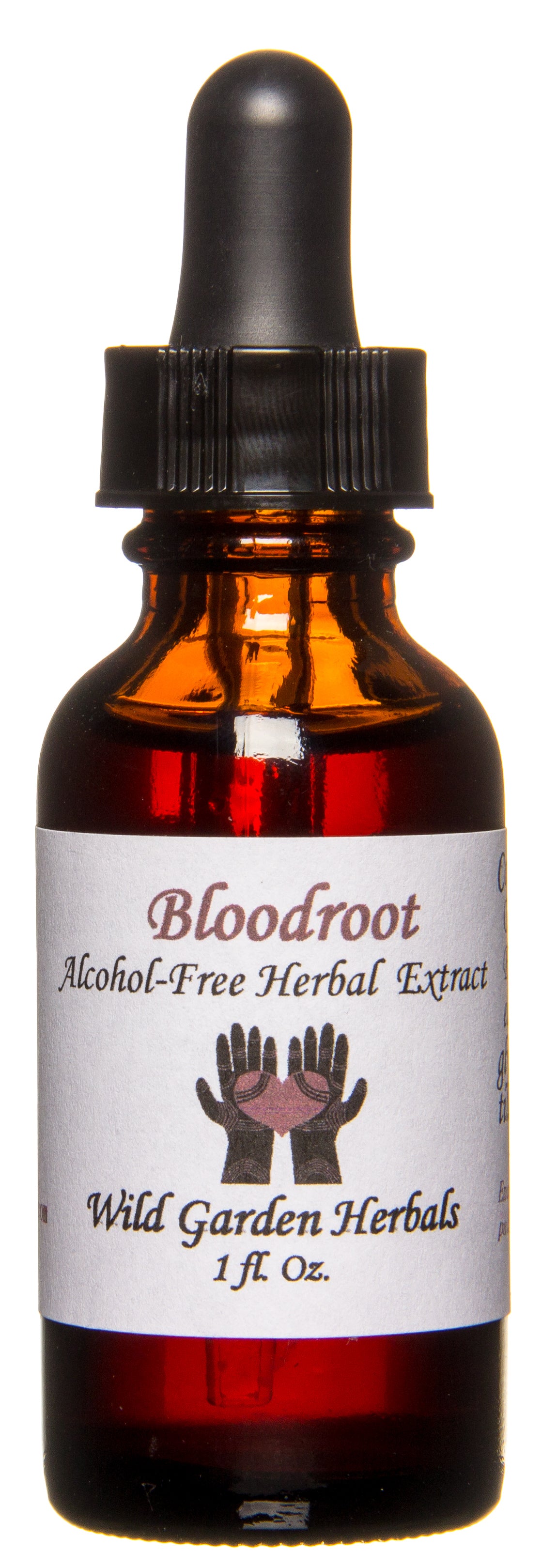 Bloodroot