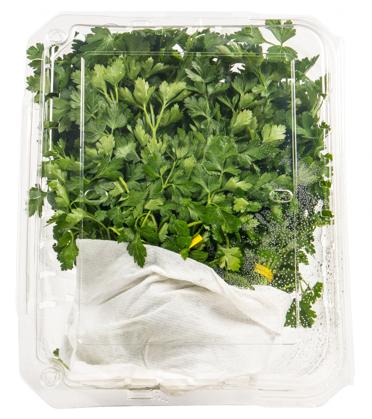 Fresh Herbs, Italian Parsley, Organic