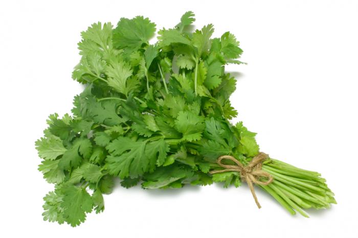 Fresh Herbs, Cilantro, Organic