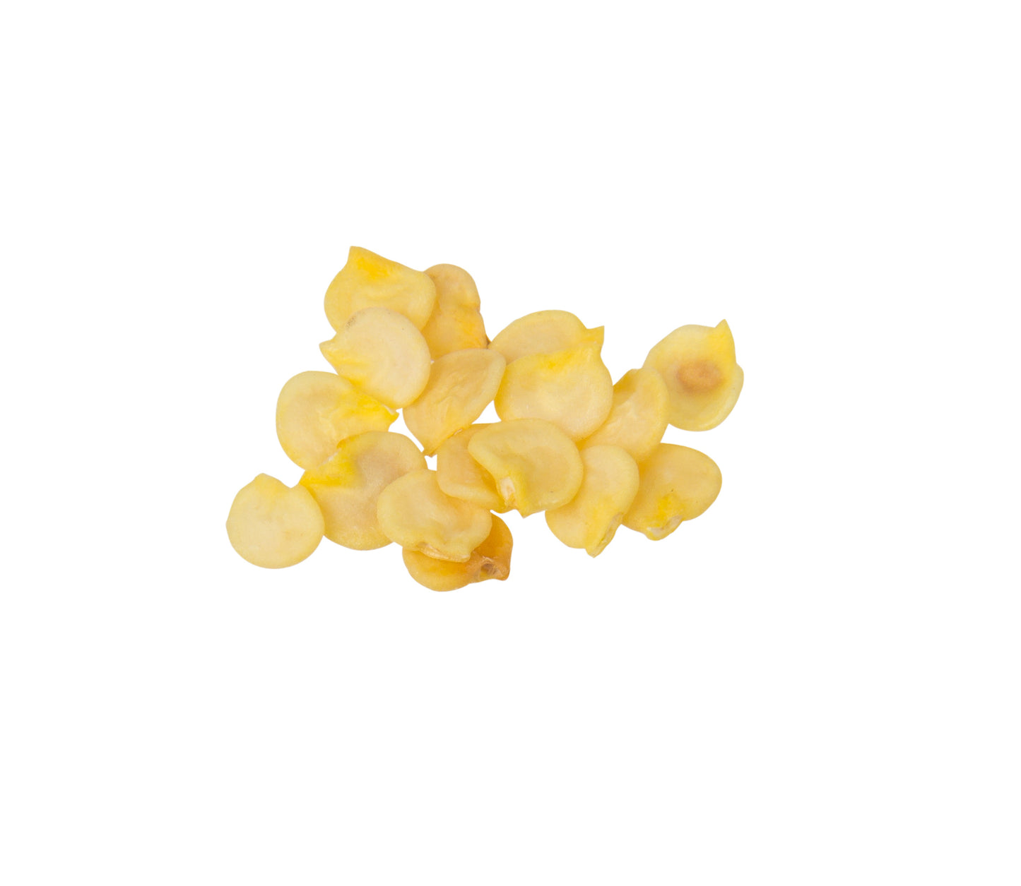 Golden Treasure Pepper Seed, Organic
