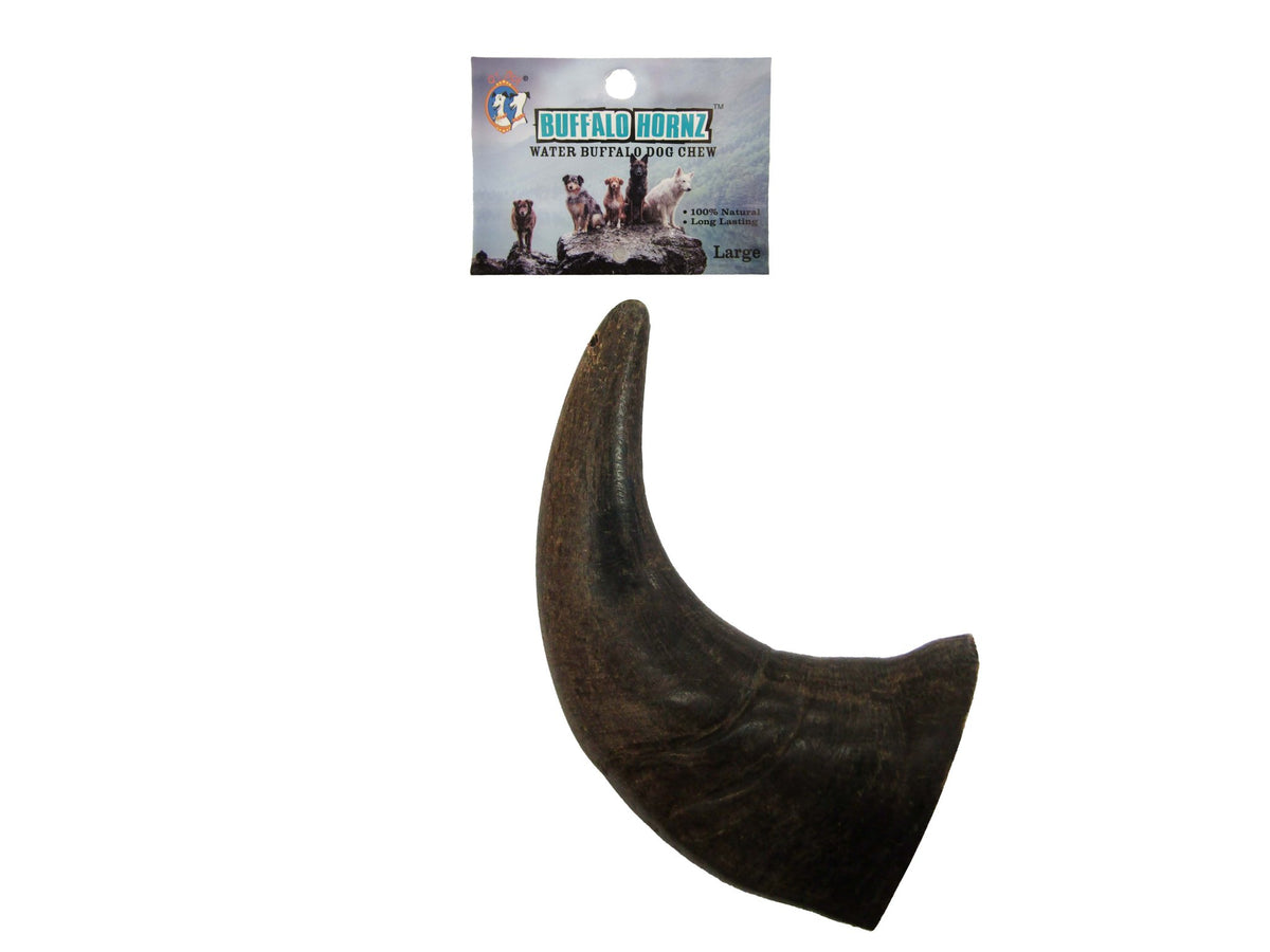 Buffalo Horn, Large