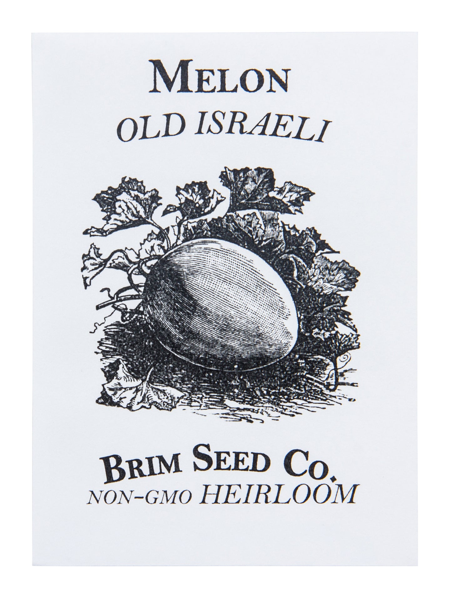 Melon, Old Israeli Heirloom Seed