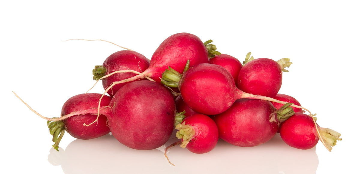 Radish Red, Organic