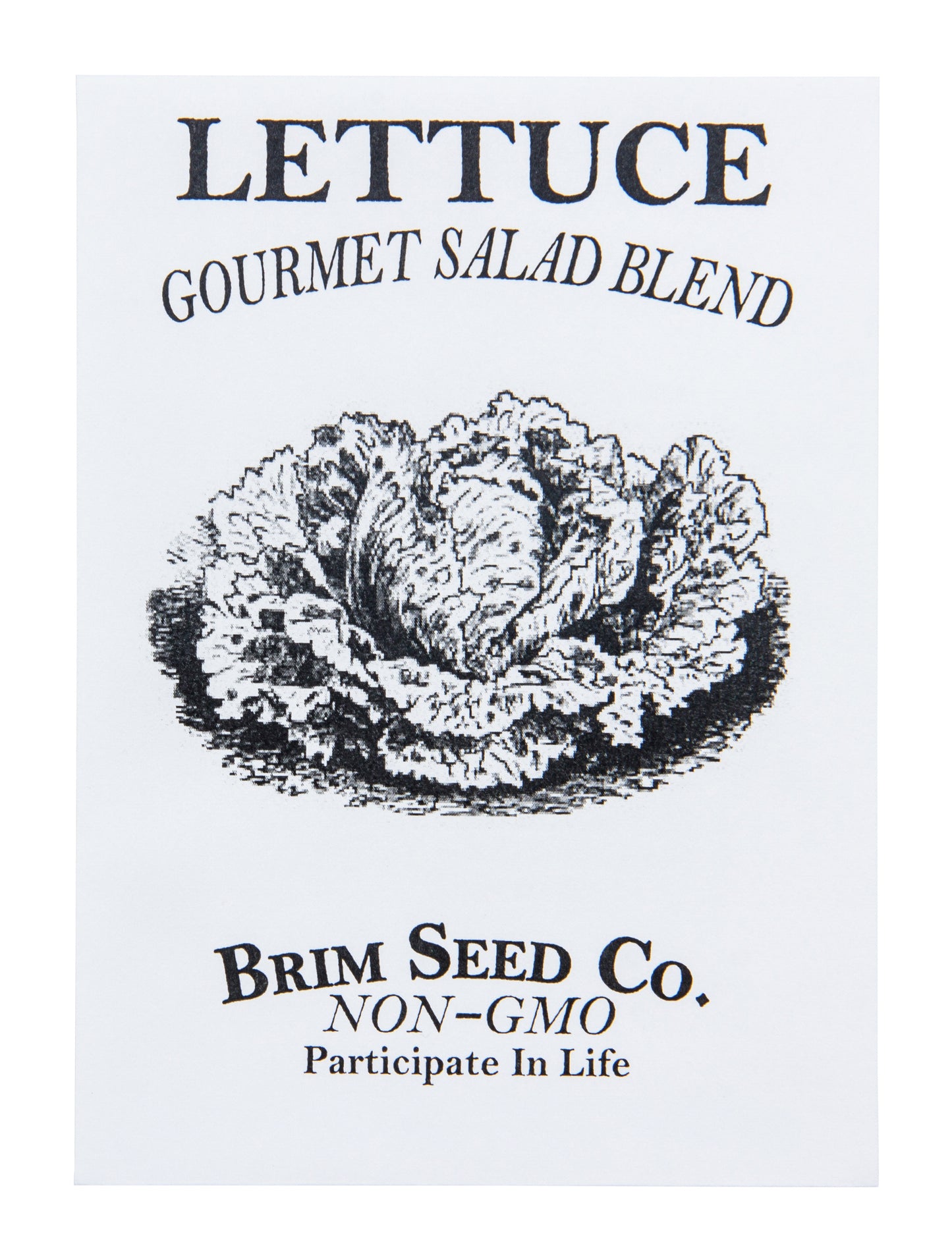 Lettuce, Gourmet Salad Blend Seed