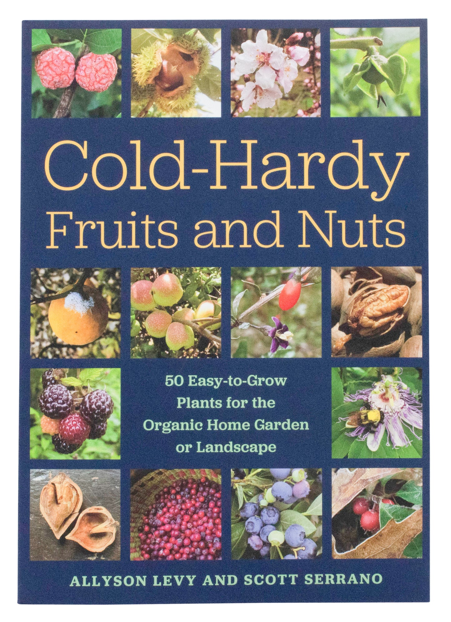 Cold-Hardy Fruits and Nuts