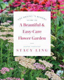 A Beautiful & Easy-Care Flower Garden