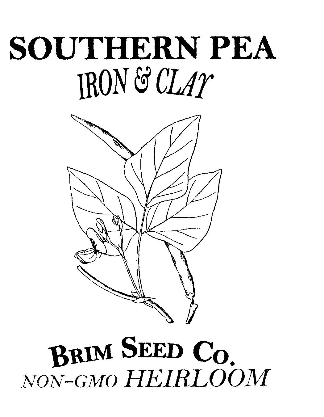 Southern Pea, Iron & Clay, Heirloom Seed