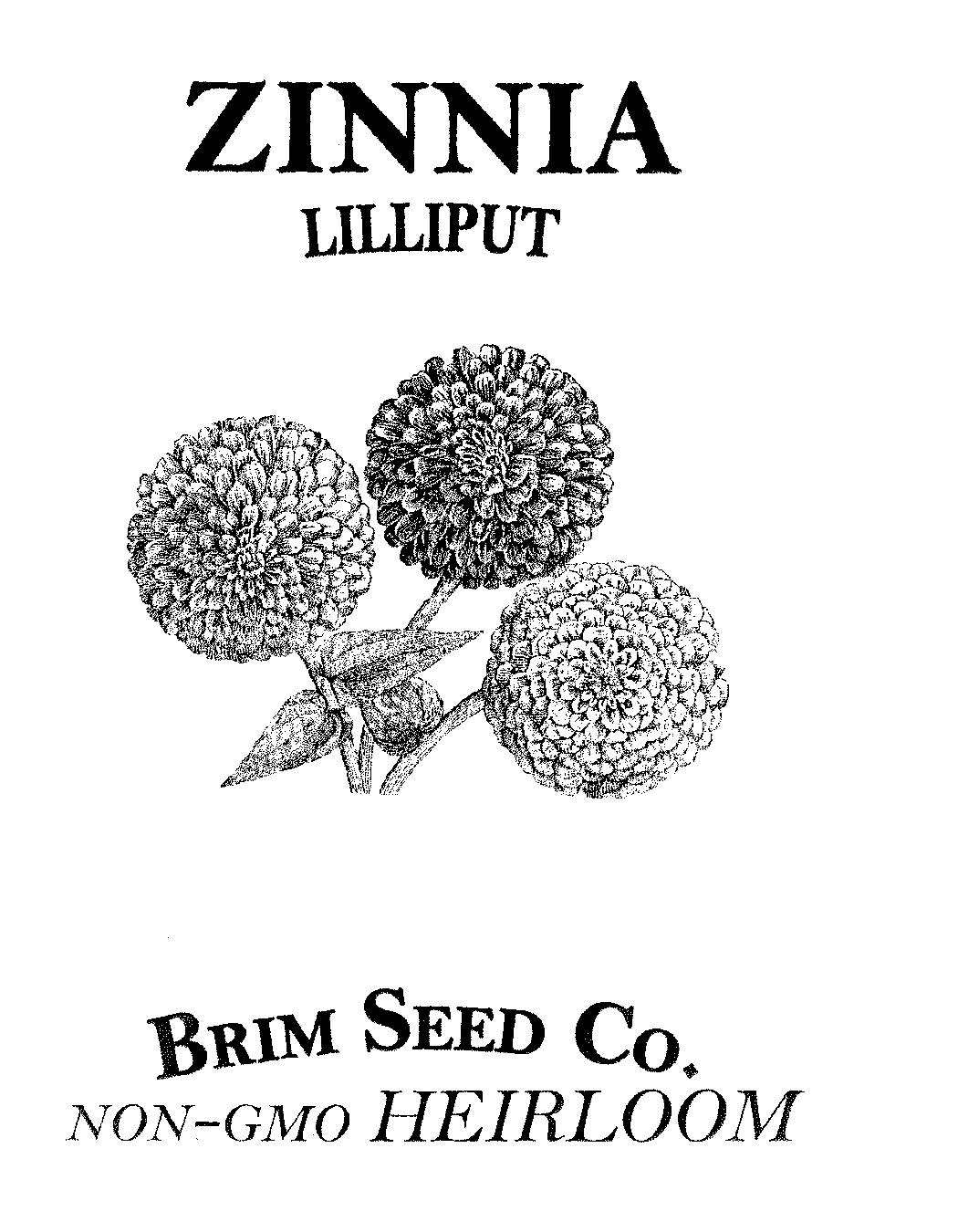 Flower, Zinnia, Lilliput Mix, Heirloom Seed