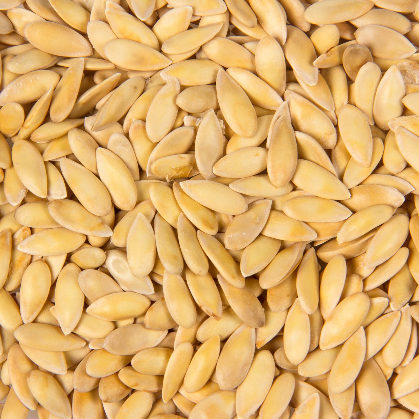 Hale’s Best Jumbo Muskmelon Seed, Organic