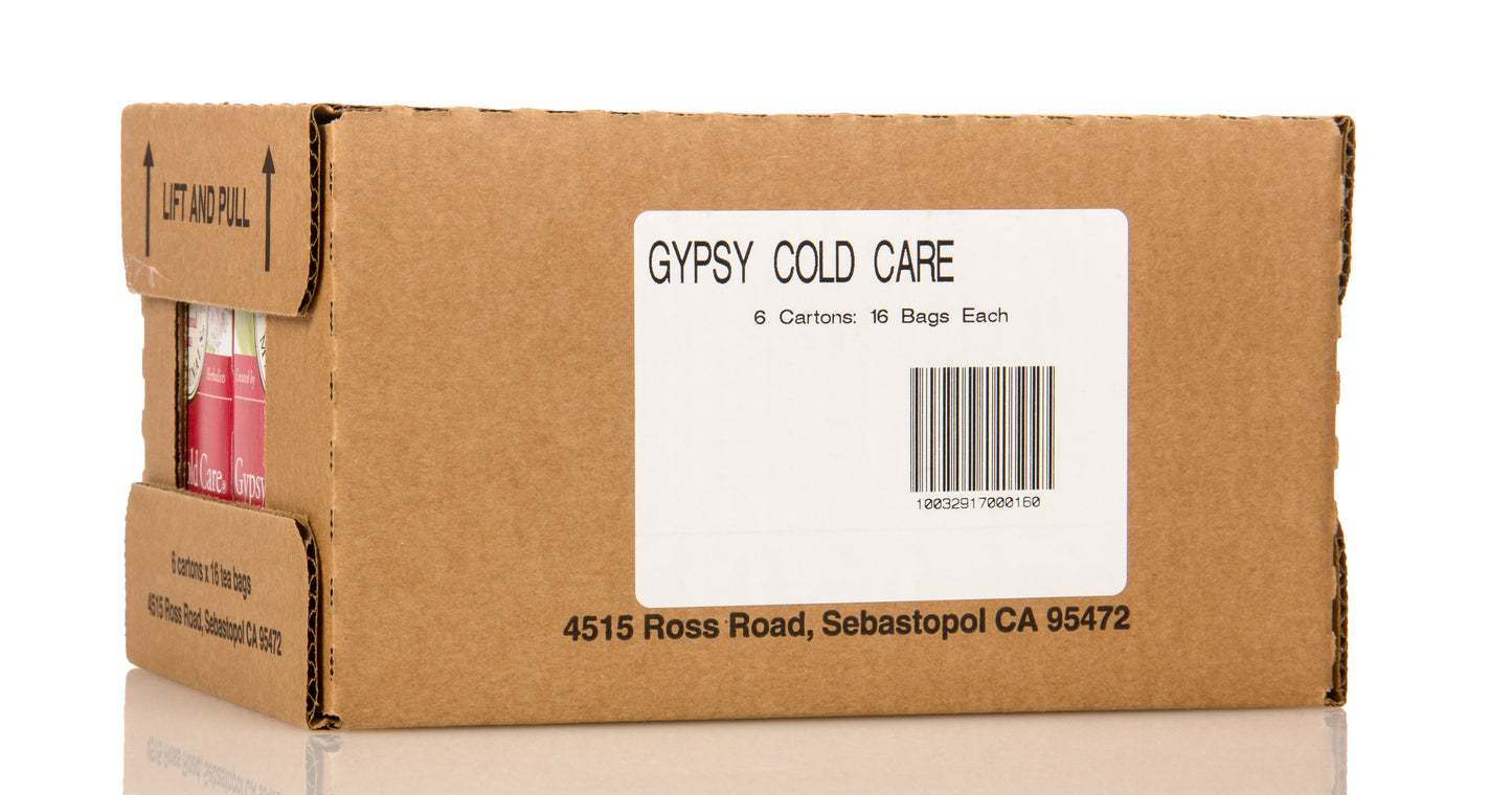 Herbal Cold Care Tea, Elderflower Spice, Organic