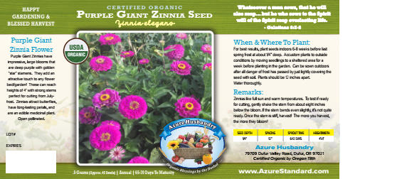 Purple Giant Zinnia Seed, Organic