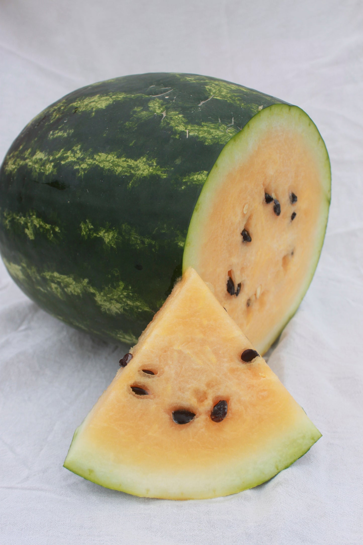 Mountain Sweet Watermelon Seed, Organic