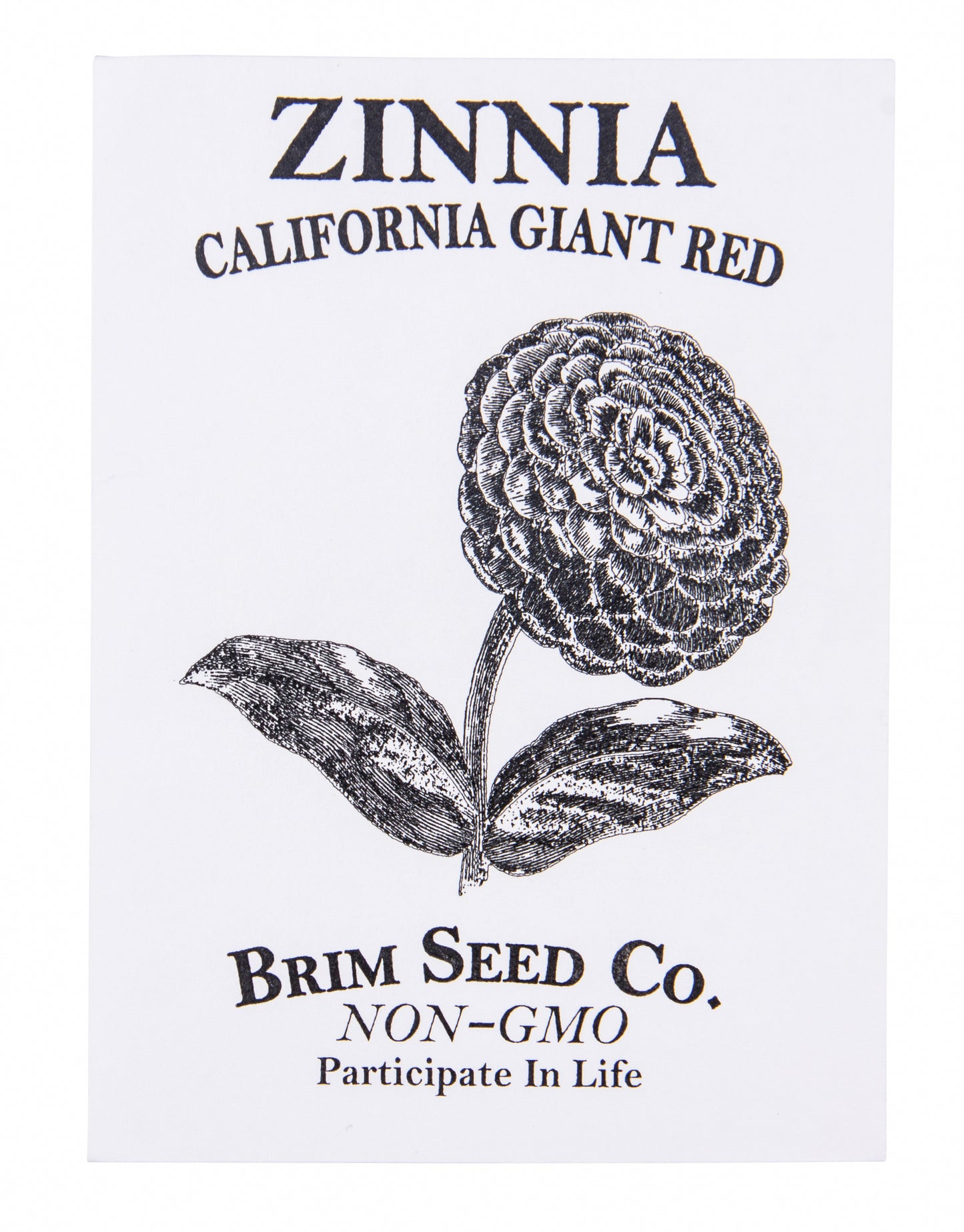 Flower, Zinnia California Giant Red Seed