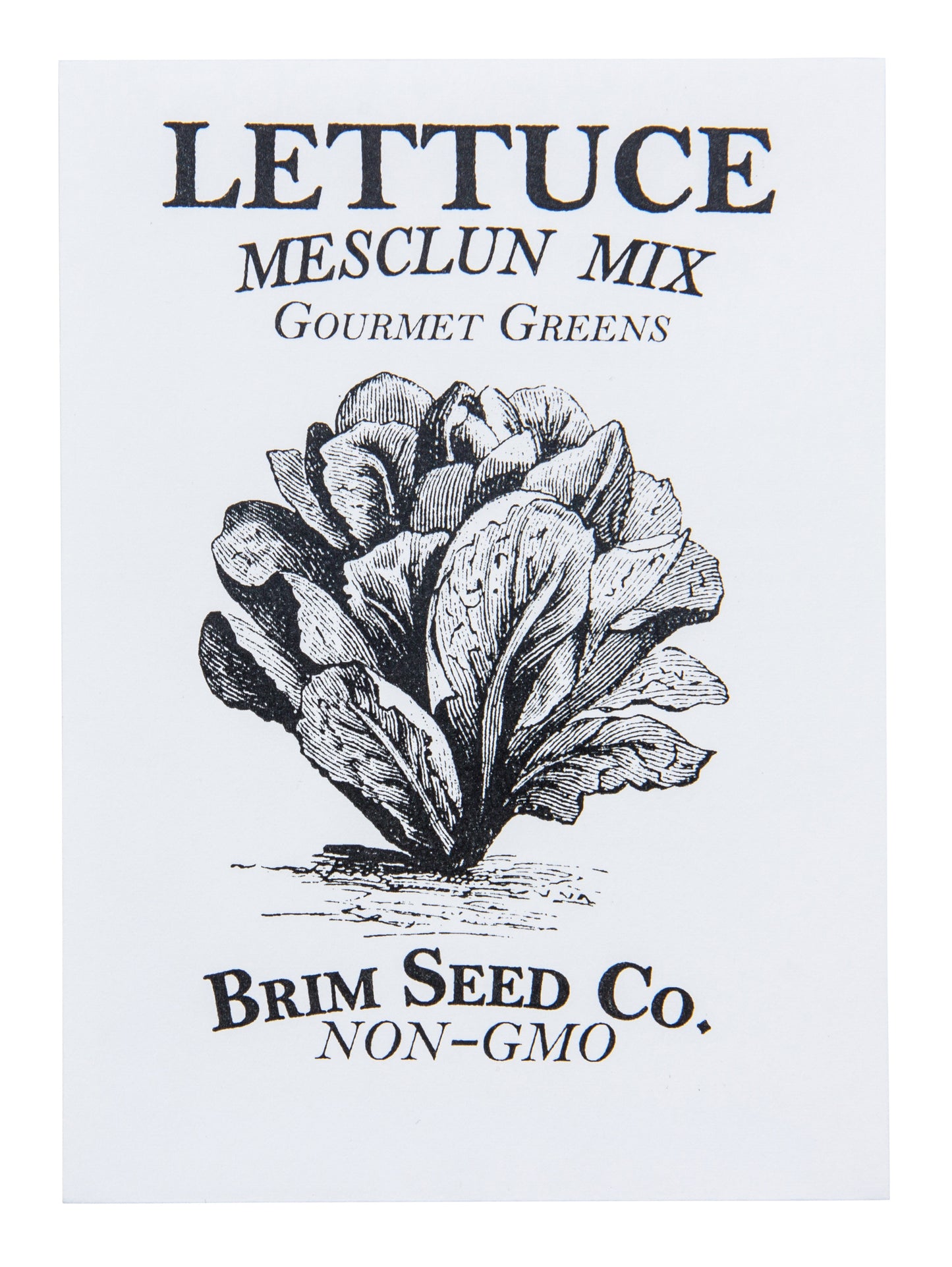 Lettuce, Gourmet Greens Mesclun Mix Seed