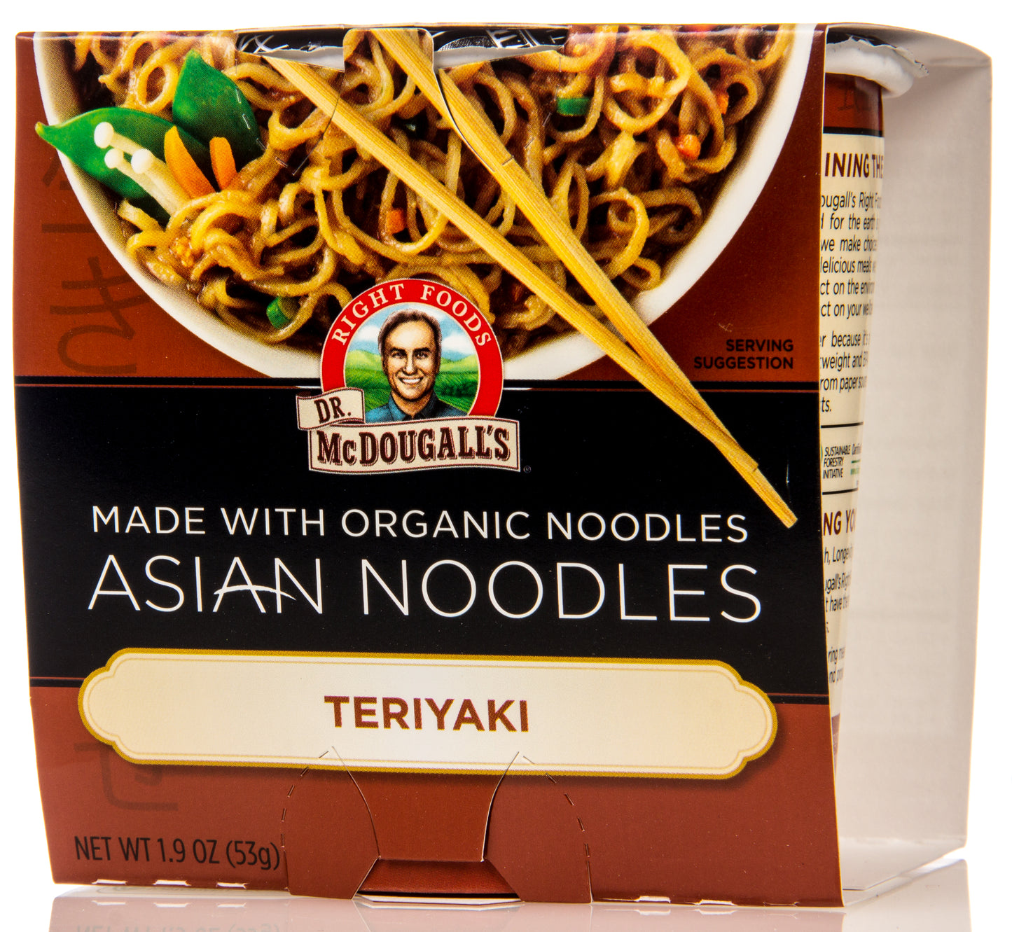 Asian Entree Teriyaki Noodles