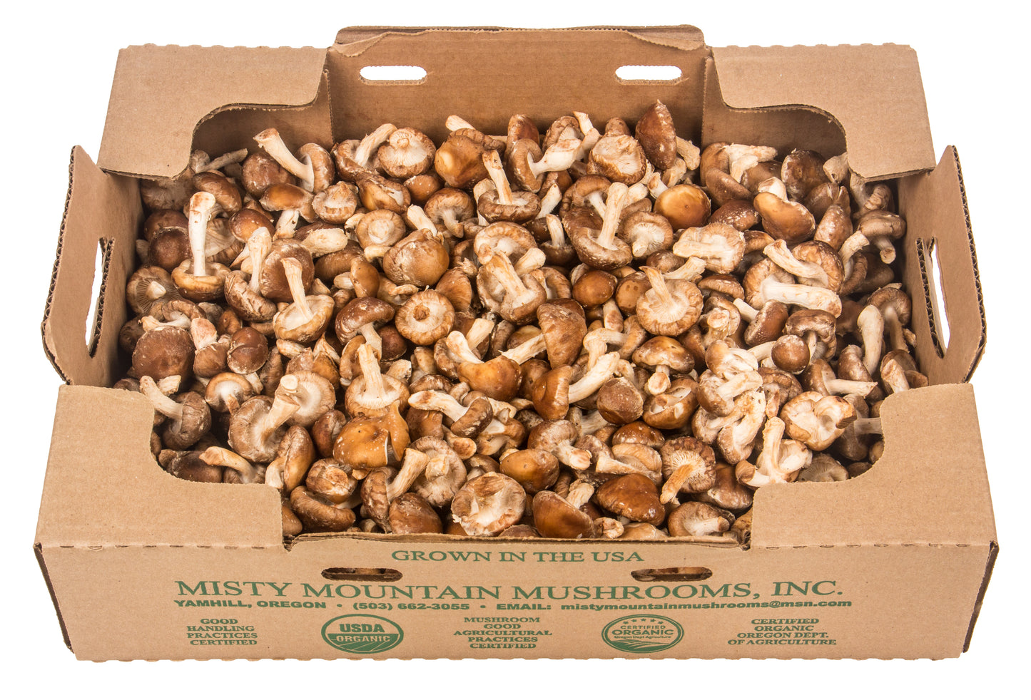 Mushrooms, Shiitake, Organic