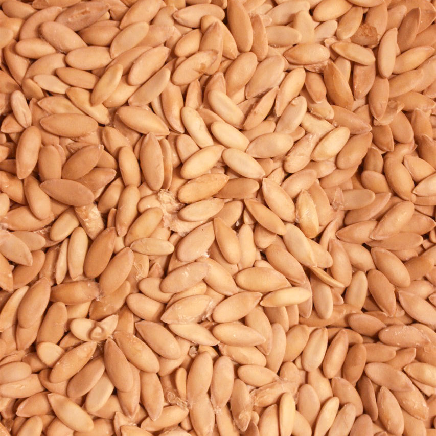 Bidwell Casaba Melon Seed, Organic
