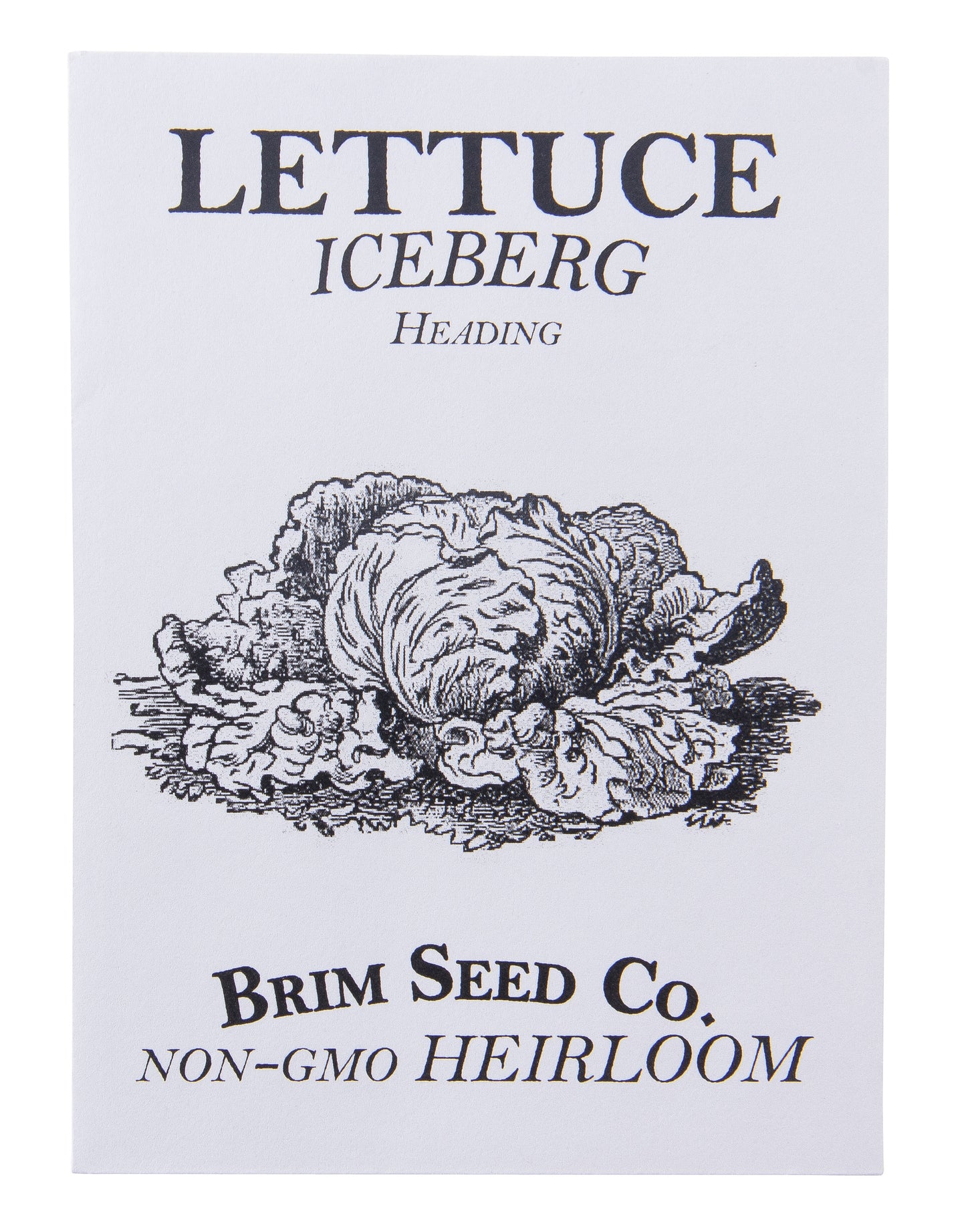 Lettuce, Iceberg, Heading Heirloom Seed
