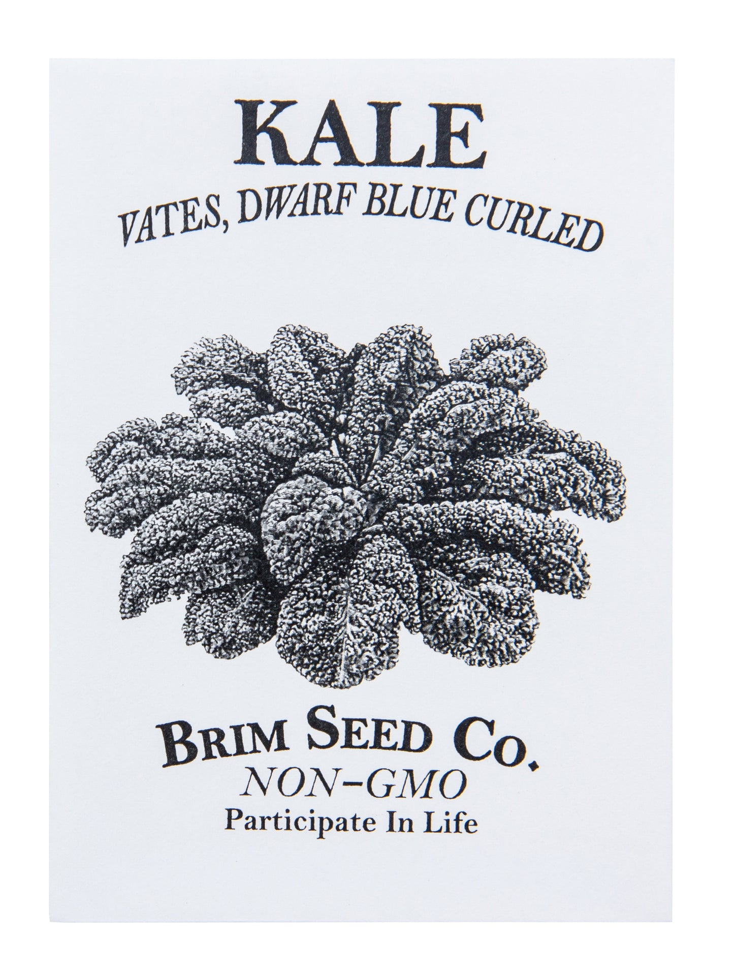 Kale, Vates Dwarf Blue Curled Seed