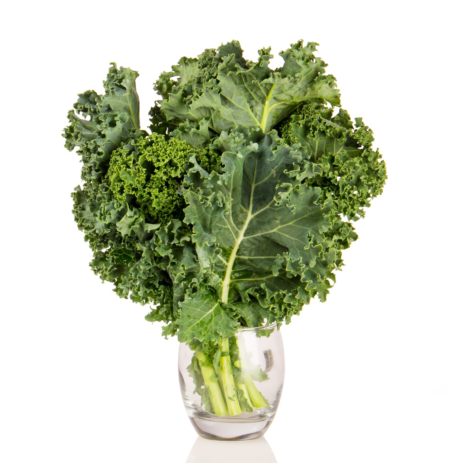 Kale, Green Organic