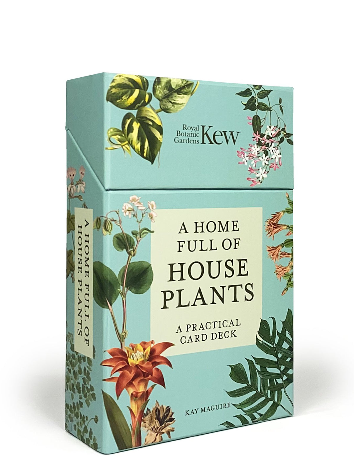 A Home Full of House Plants, A Practical Card Deck
