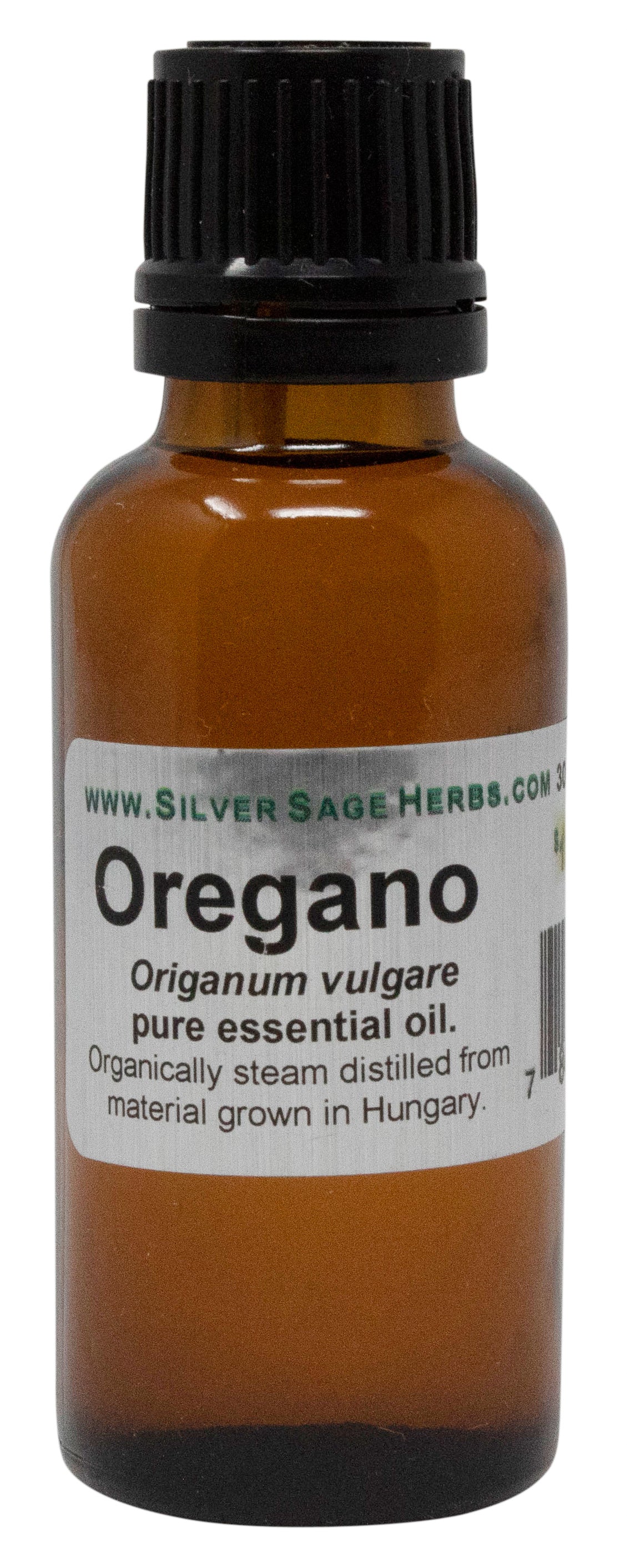Oregano, Essential Oil