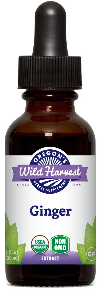 Ginger, Extract, Organic
