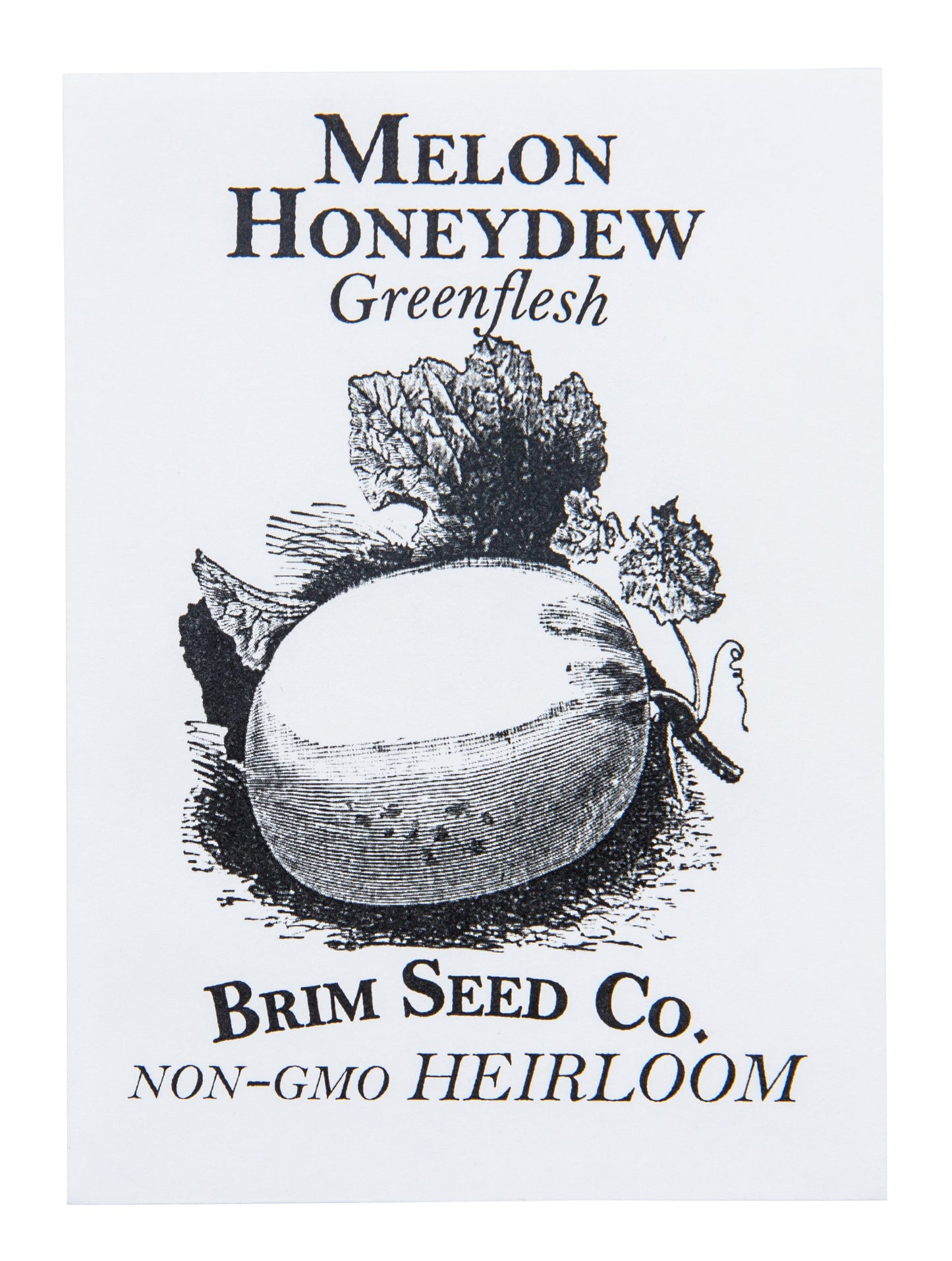 Melon, Greenflesh Honeydew Heirloom Seed