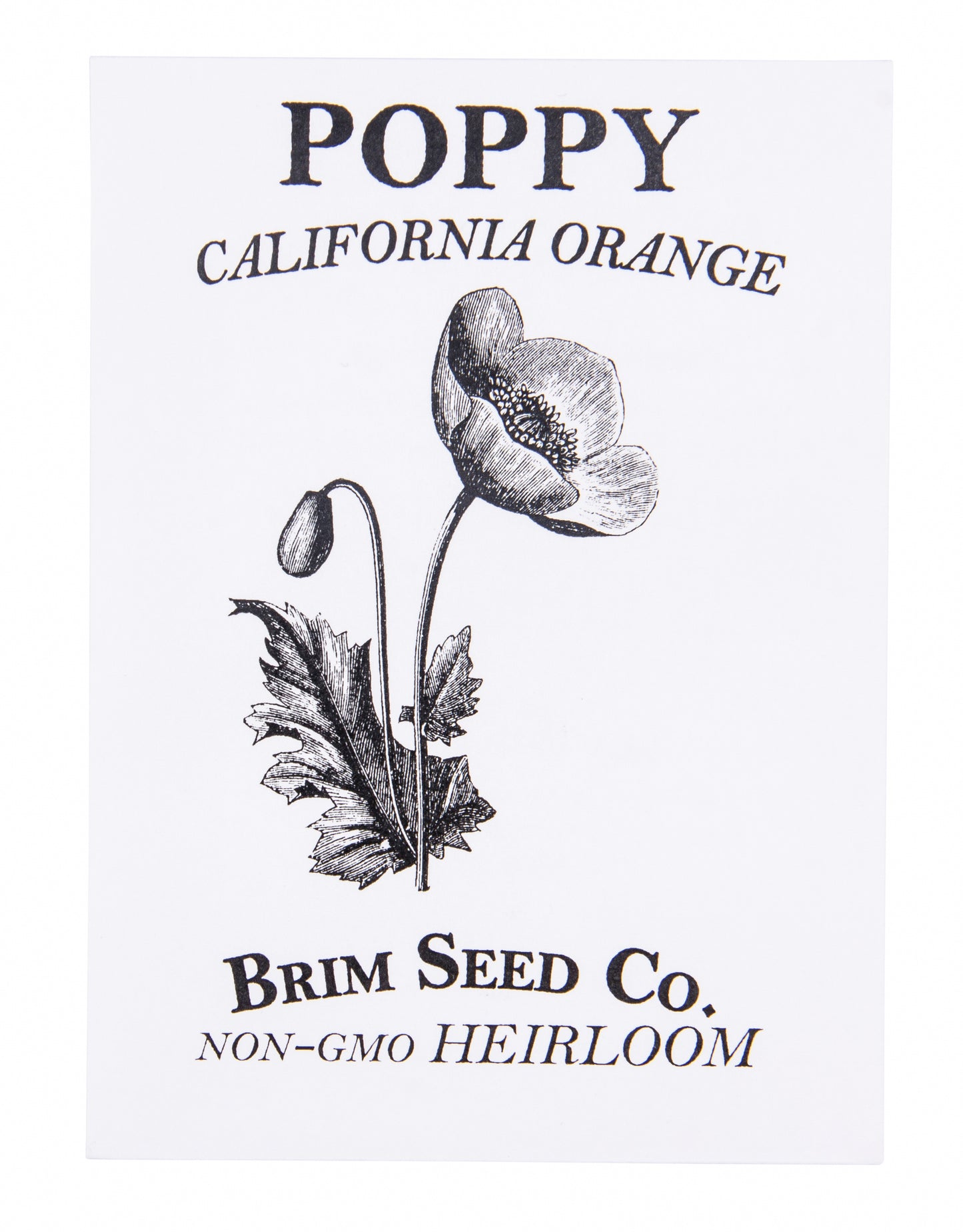 Flower, Poppy California Orange Heirloom Seed