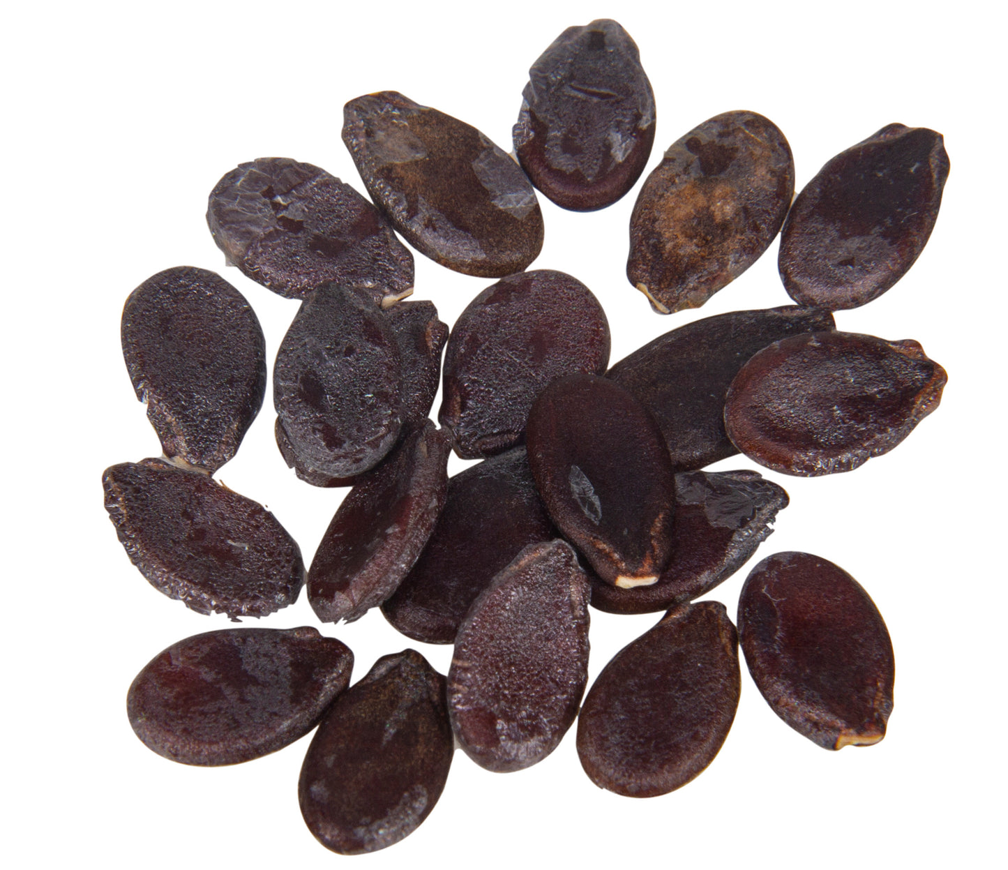 Golden Midget Watermelon Seed, Organic