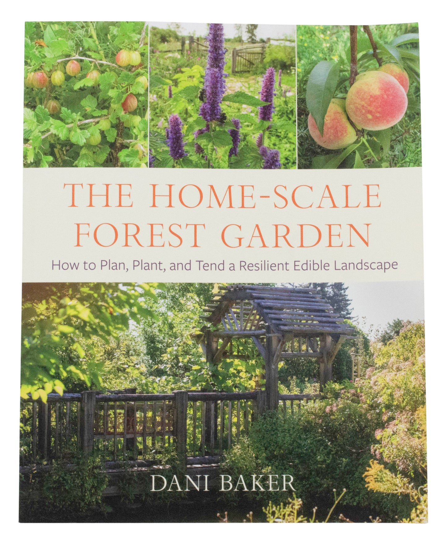 Home Scale Forest Garden