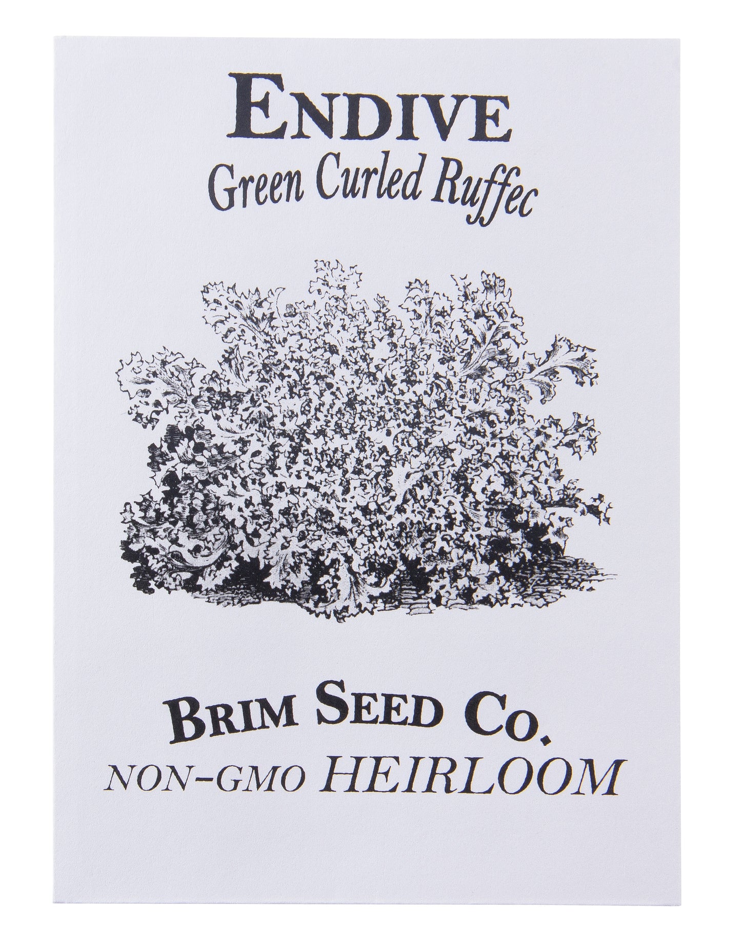 Endive, Green Curled Ruffec Heirloom Seed