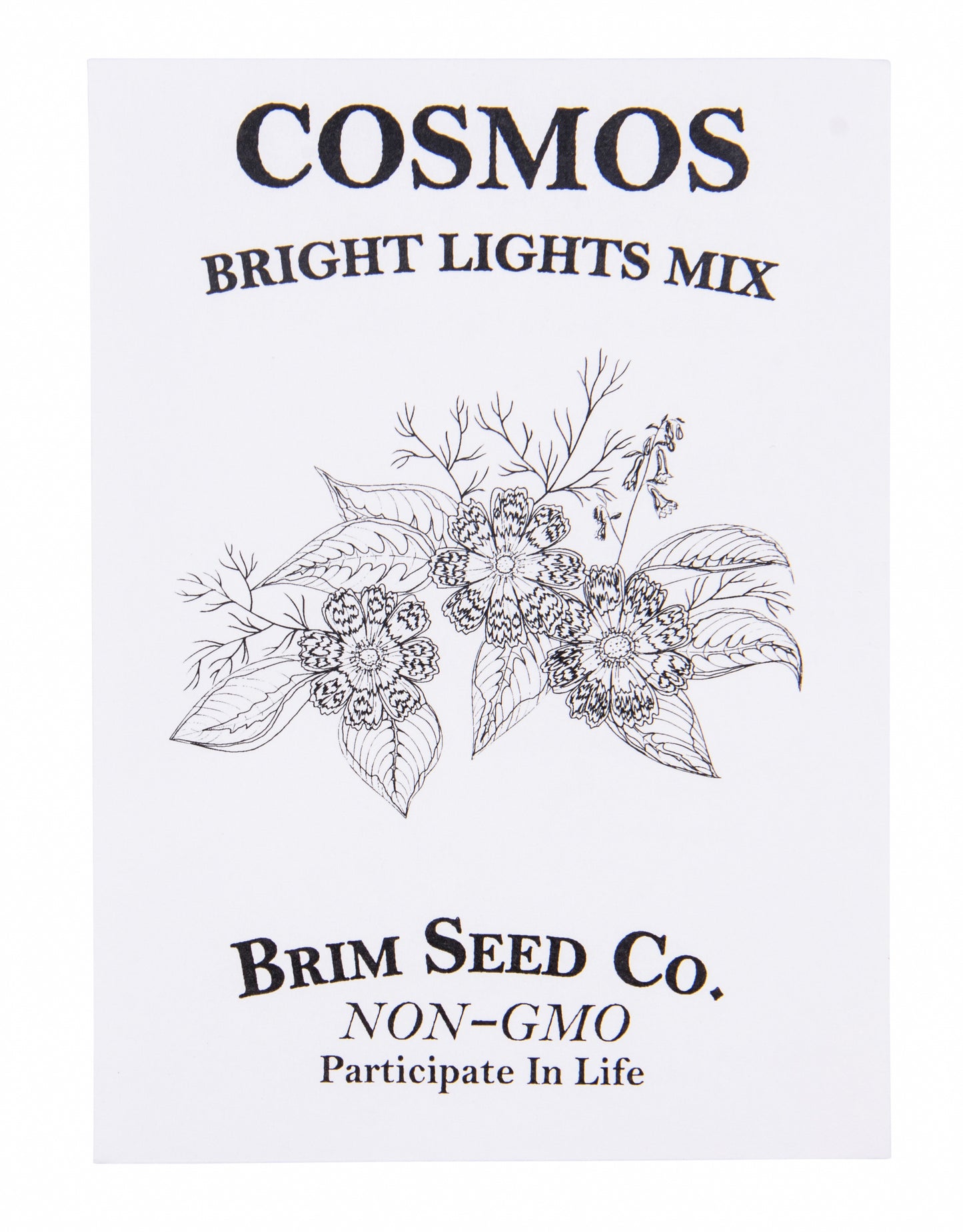 Flower, Cosmos Bright Lights Mix Seed
