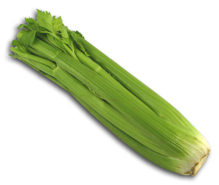 Celery, Organic