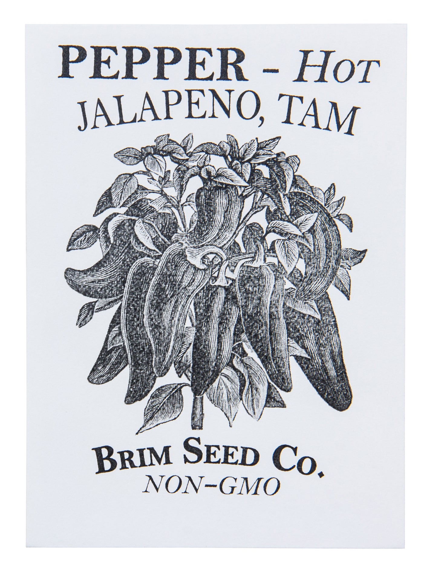 Pepper, Hot Jalapeno Tam Seed