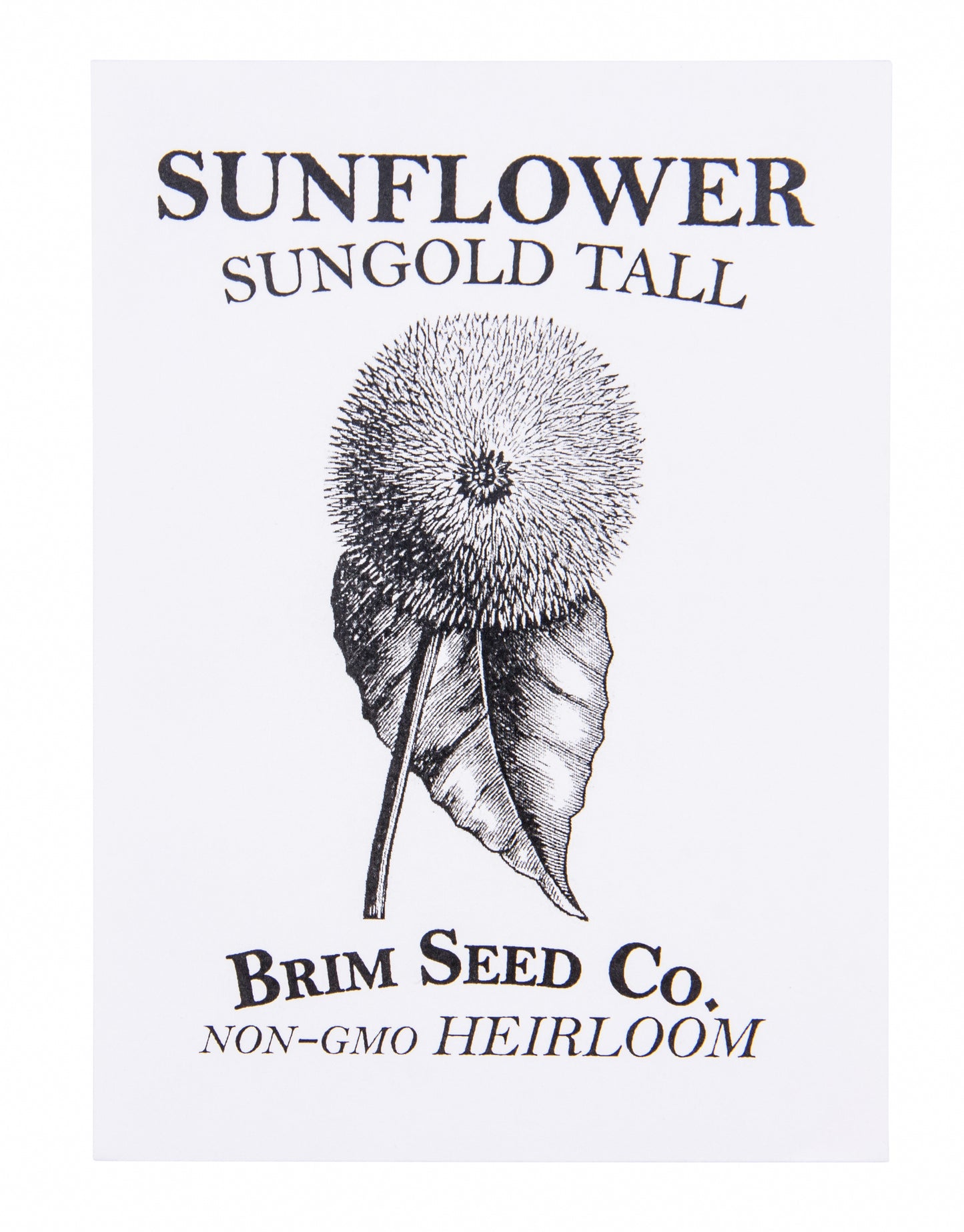 Flower, Sunflower Sungold Tall Heirloom Seed
