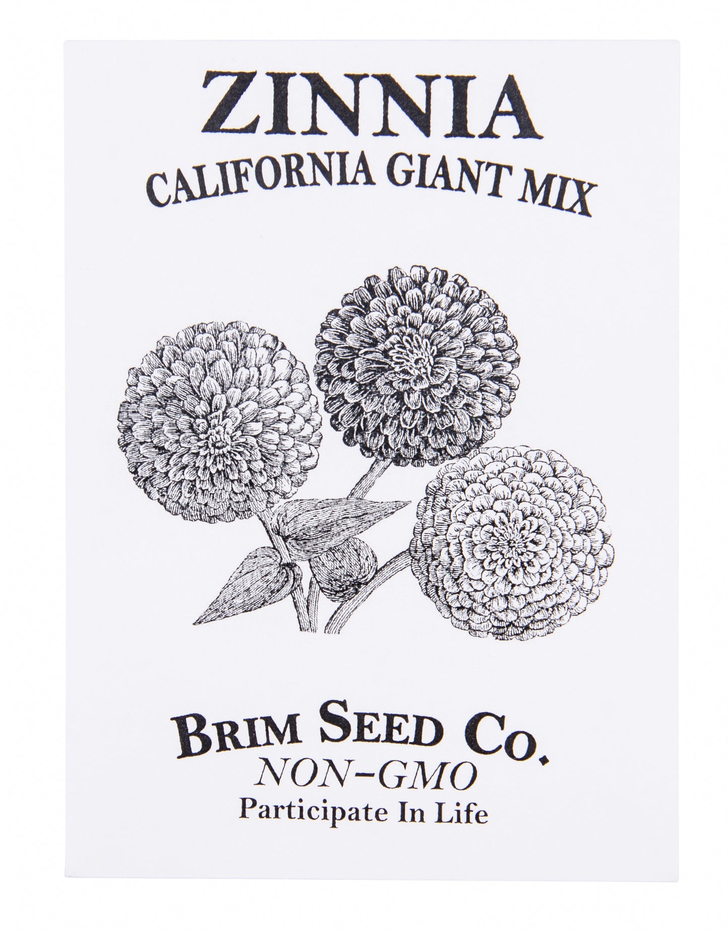 Flower, Zinnia California Giant Mix Seed