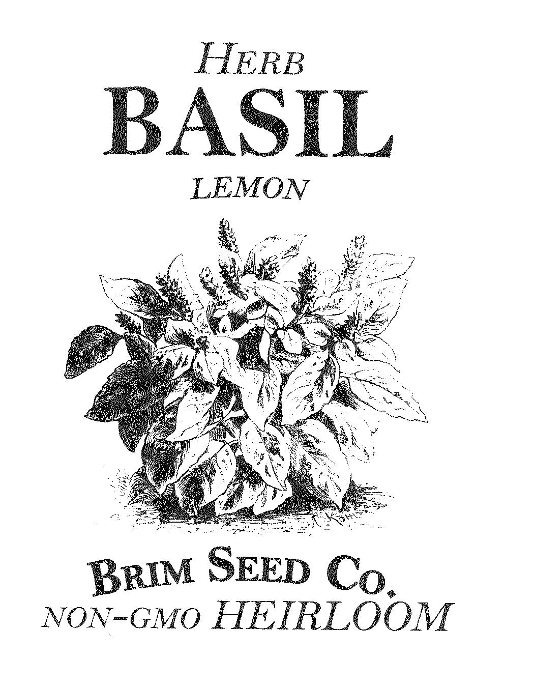 Herb, Basil, Lemon, Heirloom Seed