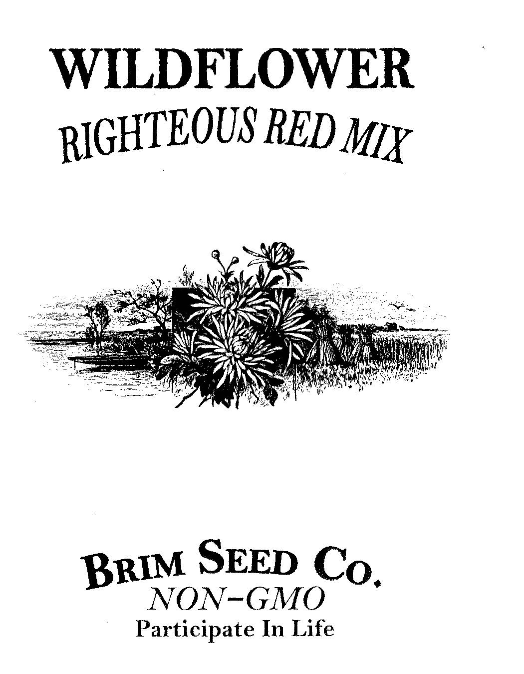Flower, Wildflower, Righteous Red Mix