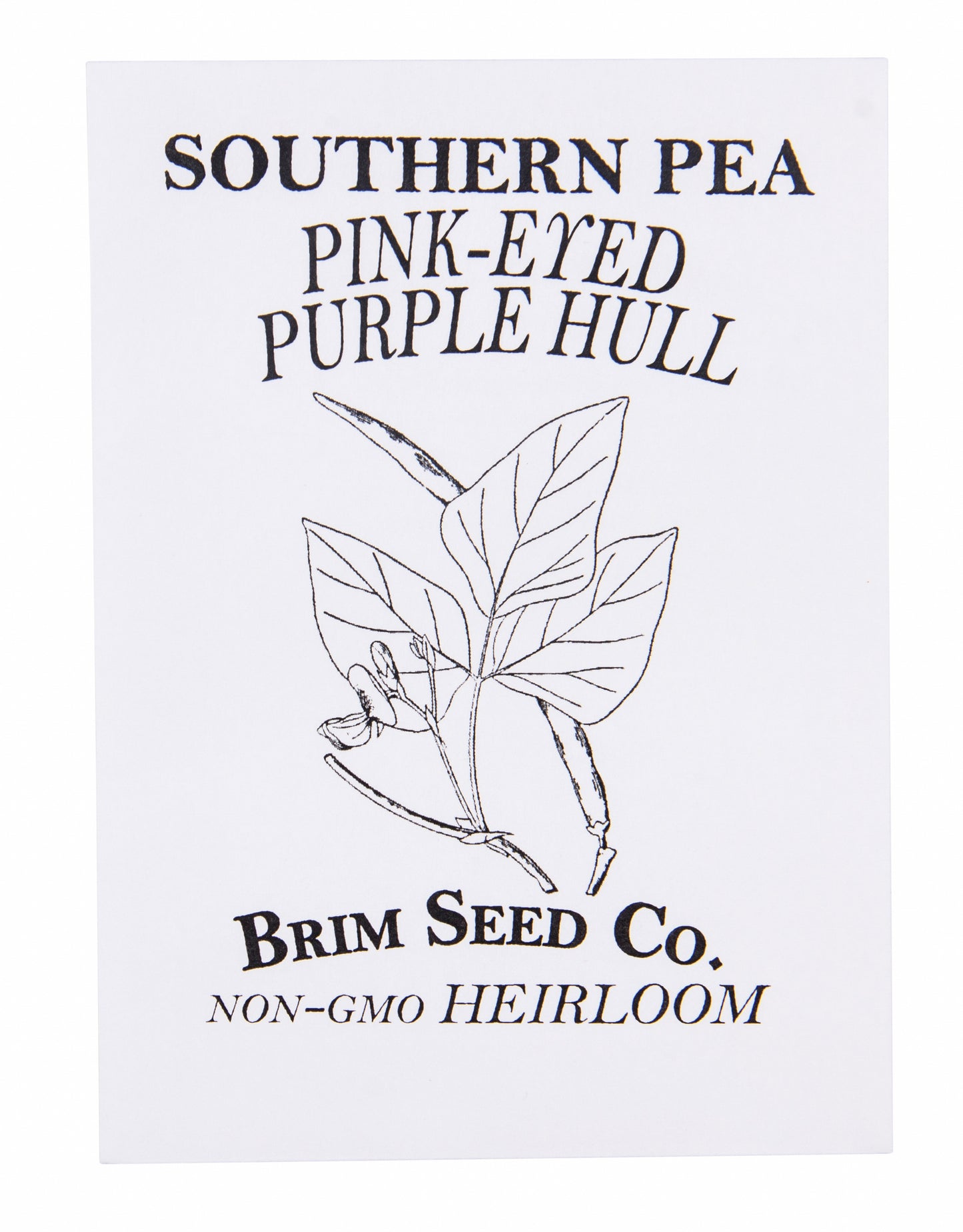 Southern Pea, Pink-Eyed Purple Hull Heirloom Seed