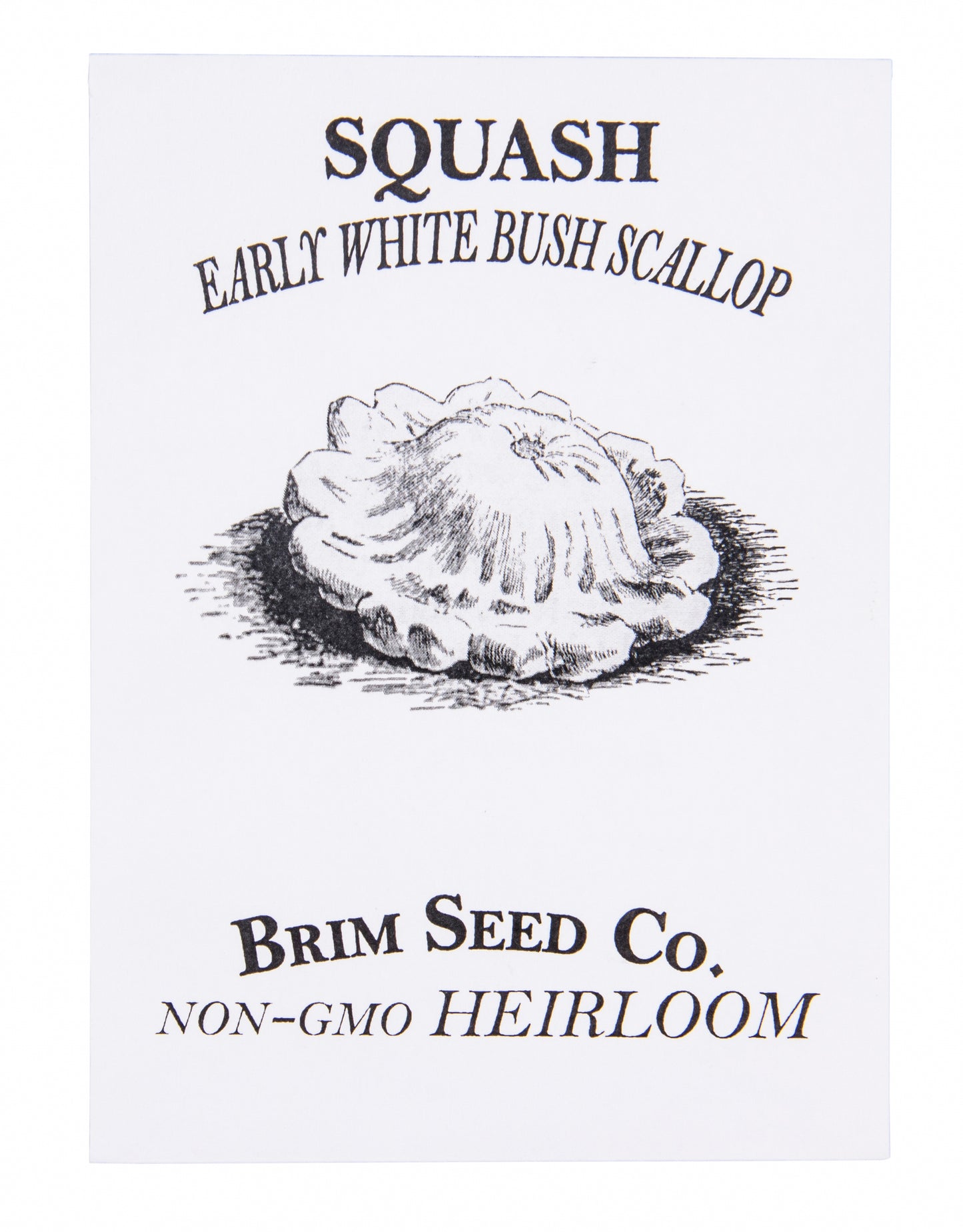 Squash, Early White Bush Scallop Heirloom Seed