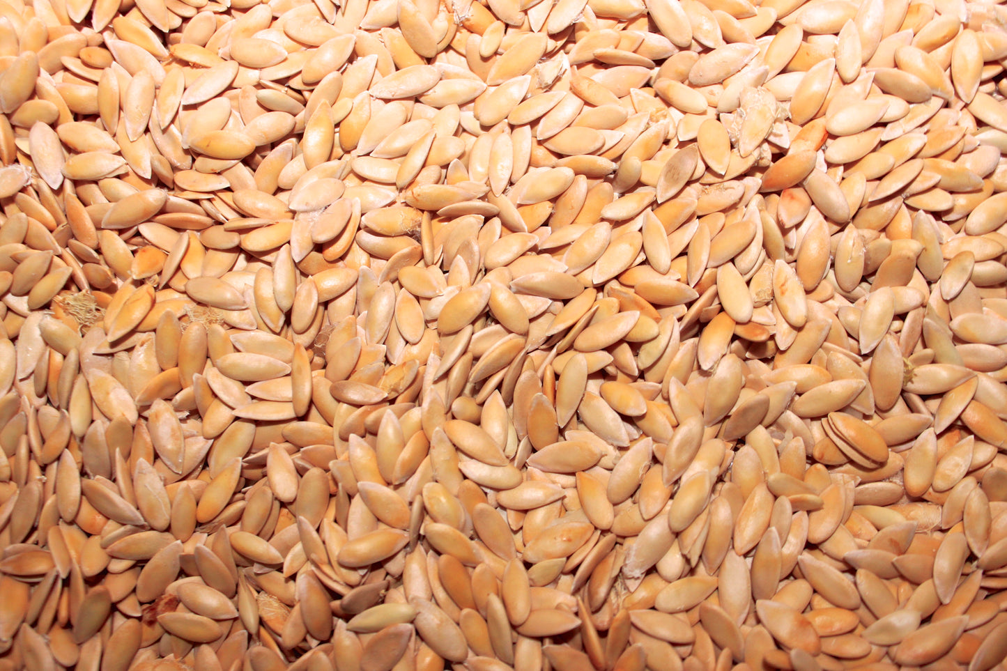 Green Nutmeg Melon Seed, Organic